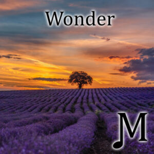 Wonder (Sheets & WAV)